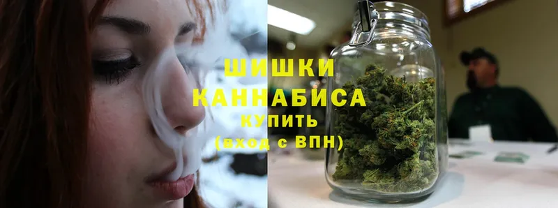 Бошки марихуана Amnesia  Новочебоксарск 